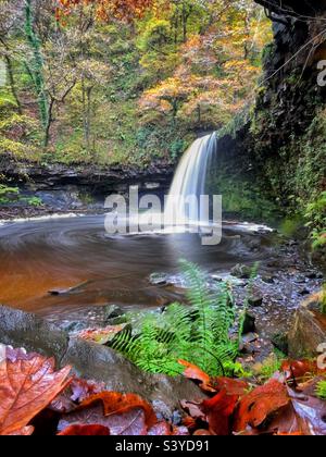 Sgwd Gwladus, die Dame fällt auf den Fluss Pyrddin, Vale of Neath, Brecon Beacons, Herbst. Stockfoto