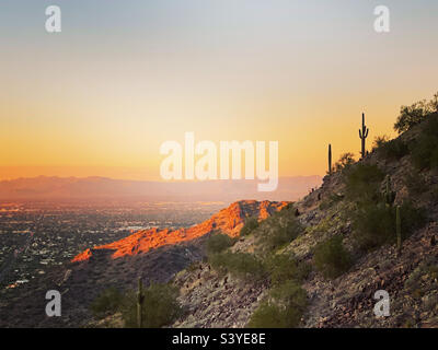 Saguaro Kaktuswätzer, die vor dem Sonnenuntergang in Arizona geschildet wurden, vergießen goldene Strahlen auf felsigen Hügeln - 2 Bit Peak Wanderweg, Piestewa Peak / Dreamy Draw 40. Street Trailhead, Phoenix Mountain Preserve. Stockfoto