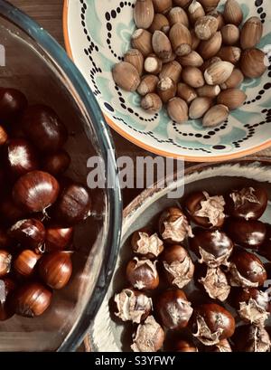 Trio of Autumness - Schüssel mit rohen Edelkastanien, Schüssel mit gerösteten Edelkastanien und eine Schüssel mit Haselnüssen. Alle wurden aus meinem Garten gebent. Ein Bild vom Herbst. Stockfoto