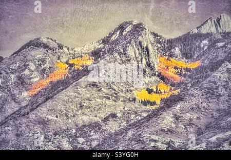 Majestätische und wunderschöne Wasatch Mountains, östlich des Salt Lake Valley in Utah, USA, in der Herbstsaison. Farblich ausgewähltem Gelb am Berghang, kontrastierend zum Rest in Schwarzweiß, für Aufprall. Stockfoto