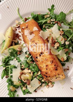 Flacher Lay of a Gourmet One Dish Meal of Seared Lachs on a bed of mixed Greens with Parmesan Cheese Slices, 2022, USA Stockfoto