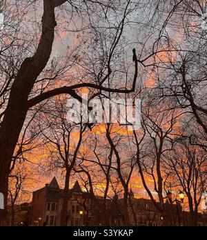 Wunderbarer Sonnenuntergang im Herbst in Montreal. Stockfoto