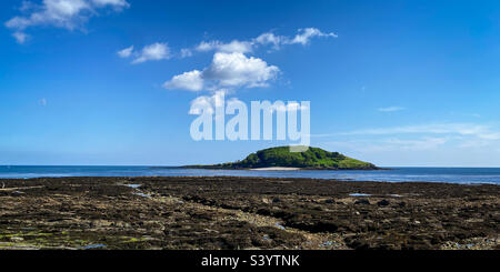 Looe Island vor Hannafore Point bei Ebbe, West Looe, Cornwall. Ein Mobiltelefon-Foto mit Post Processing auf einem Telefon oder Tablet. Stockfoto