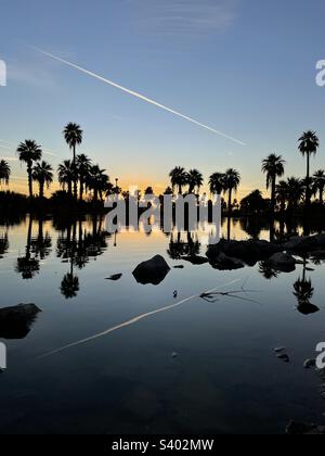 Eine Oase im Papago Park wie ein Teich in der Wüste mit Palmen, Sonnenuntergang in blauem Gold und Silhouetten-Palmen und Jet Trail-Reflexionen, Phoenix Arizona Stockfoto