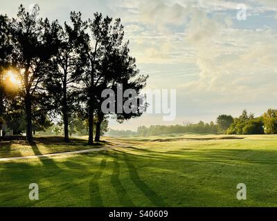 Sun breaking through pine trees on Scottsdale AZ golf course,highlighted mower tracks and path disappearing through sand traps and freshly mowed  greens into misty tree line in distance. Stock Photo