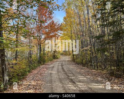 Herbstfarben im Norden Minnesotas Stockfoto