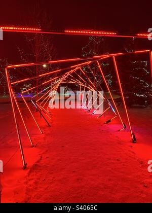 Calgary Zoolights Stock Photo