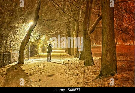 Schnee im Peckham Park. Stockfoto