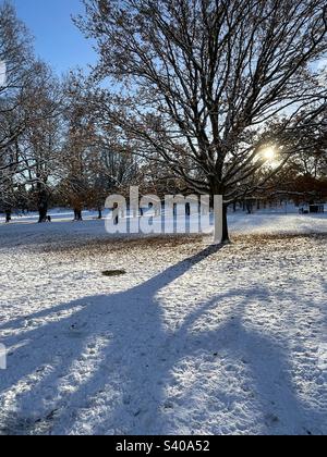 Lange Schatten von Winterbäumen auf Schnee unter blauem Himmel Stockfoto