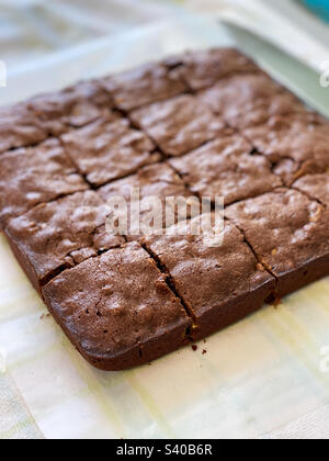 Hausgemachte Karamellbrownies, die nach dem Abkühlen in Quadrate geschnitten wurden. Stockfoto