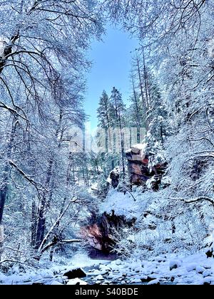 Ein Fenster in das Winterwunderland, Sedona Arizona Snow, West Fork, Oak Creek Canyon, Matte Baumzweige, Rote Felsen, grüne Kiefern, blauer Himmel, schneebedeckte Felsen in eiskaltem Bach Stockfoto