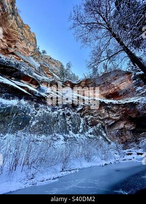 Winterwunderland, West Fork Oak Creek Canyon, Sedona, Arizona, Red Rock - Secret Mountain Wilderness, Coconino National Forest, eisblauer Bach, schneebedeckte Zweige, frischer Schneefall, Grüne Kiefern Stockfoto