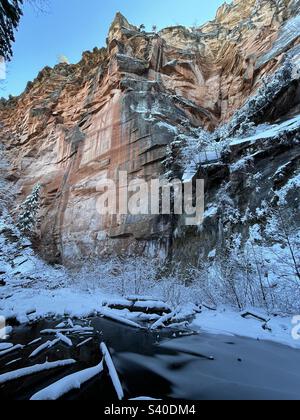 Winterwunderland, West Fork Oak Creek Canyon, Sedona, Arizona, Red Rock - Secret Mountain Wilderness, Coconino National Forest, eisblauer Bach, schneebedeckte Zweige, frischer Schneefall, Grüne Kiefern Stockfoto