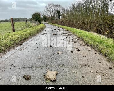 „Schlamm auf der Straße“ Stockfoto