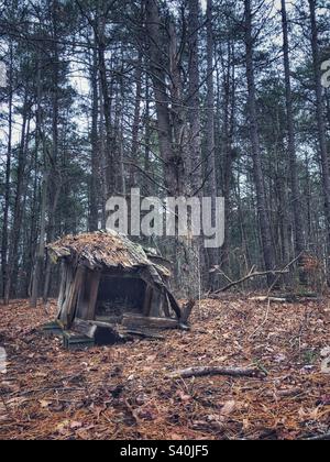 Altes Hundehaus im Wald Stockfoto