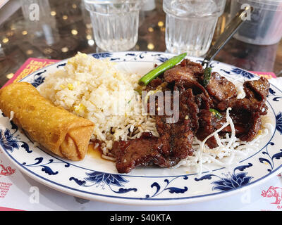 Frisches mongolisches Rindfleisch mit Reis und einer Eierrolle. Stockfoto