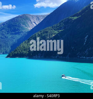 August 2022, Blick vom Kreuzfahrtschiff A, das durch Tracy Arm Fjord, Alaska, USA segelt Stockfoto