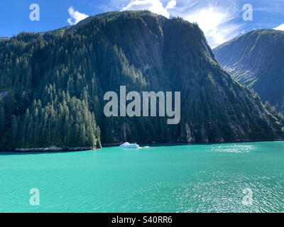 August 2022, Blick von einem Kreuzfahrtschiff auf Tracy Arm Fjord, Alaska, USA Stockfoto