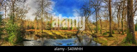 Blackwater Stream im Januar im New Forest National Park Hampshire Großbritannien Stockfoto