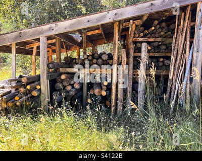 Holzstapel in Montana Stockfoto