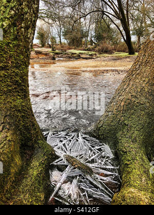 Eiskristalle über gefrorener Pfütze neben einem New Forest Bach Stockfoto