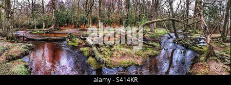 Ober-Wasser-Winterstrom im New Forest-Nationalpark Stockfoto