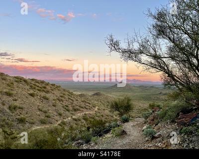 Desert Vista Trailhead, Sonoran Preserve, Palo Verde Zweige mit Blick auf den Trail, Sonnenuntergang in Arizona, blauer und goldener Himmel, rote und violette Wolkenbank und Berggipfel in der Ferne Stockfoto