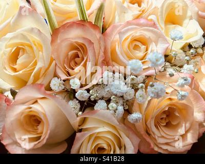 Blassgelber Blumenstrauß mit rosafarbenen Rosen. Stockfoto