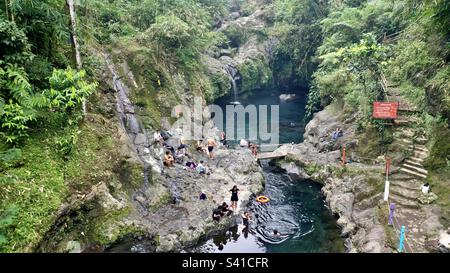 Schwimmen in der indonesischen Natur Stockfoto