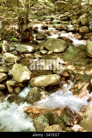 Flussbett in der Flume Gorge im Franconia Notch State Park, Lincoln, New Hampshire Stockfoto