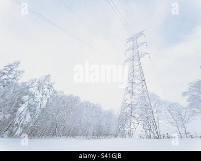 Hochspannungsleitung im Winter Stockfoto