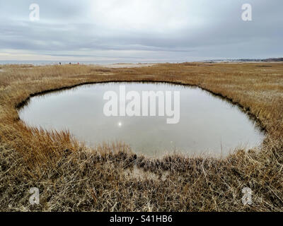 Ein ungewöhnlich geformter Teich in einem Salzmarsch in Connecticut, USA. Stockfoto