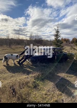 Ein Mann mit Rucksack sitzt auf einem verlassenen alten Auto und streichelt einen weißen Hund im Wald von Yakutia. Stockfoto
