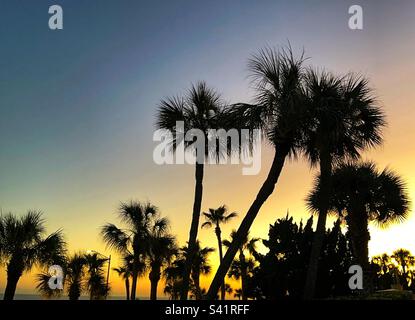 Tropische Palmen, die vor dem farbenfrohen Himmel des Sonnenuntergangs stehen. Keine Menschen. Stockfoto