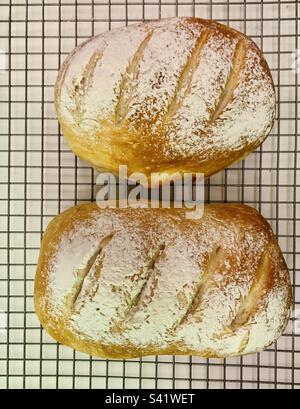 Hausgemachtes Brot auf einem Kühlregal Stockfoto