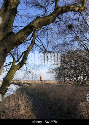 Windpumpe für Pferde in der Nähe von Great Yarmouth, Norfolk, England, Großbritannien Stockfoto