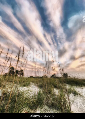 Sommerwolken in Florida Stockfoto