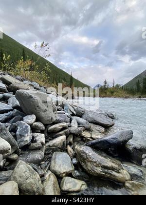 Steine am Ufer eines hohen Flusses vor dem Hintergrund von Bergen mit einem Wald in Altai in Sibirien. Stockfoto