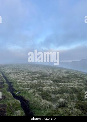 Wandern in einer nebligen Sommernacht auf einer Bergwiese in der Nähe von Leknes, Lofoten-Inseln, Norwegen. Stockfoto