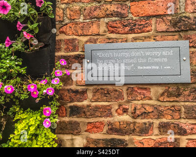 Keine Eile, keine Sorge Stockfoto