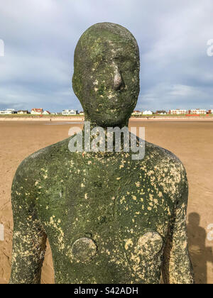 Ein anderer Ort, Crosby Beach Stockfoto