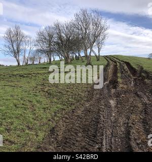 Düstere Landschaft Stockfoto