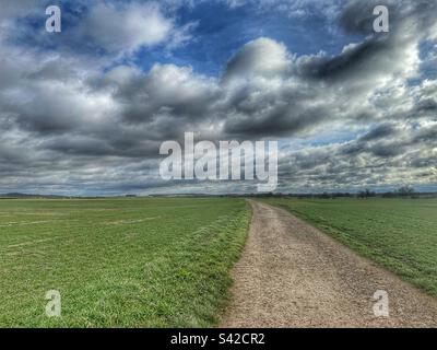 Verfolgen Sie über Felder mit wolkenlosem Himmel Stockfoto