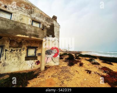 Vogel, Seevogel auf der Seite eines verlassenen Gebäudes mit Leuchtturm in der Ferne Praia do Farol, Ria Formosa, portugiesischer Nationalpark Stockfoto