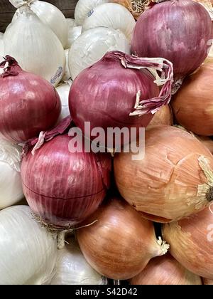 Weiße, rote und gelbe Zwiebeln. Stockfoto