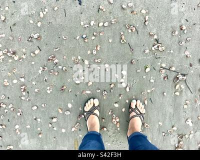 Füße inmitten vieler kleiner Muscheln an einem Sandstrand Stockfoto