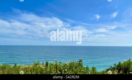 Blick auf die Küste der Algarve mit Wildblumen im Vordergrund und geschwollenen Wolken am Horizont Stockfoto