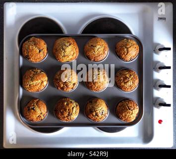 Frisch gebackene hausgemachte Choc-Chip-Muffins kühlen auf dem Kochfeld ab Stockfoto