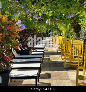 Januar 2023, Klubsessel und Schaukelstühle, Kimpton Surfcomber Hotel, South Beach, Miami Beach, Florida, Vereinigte Staaten Stockfoto