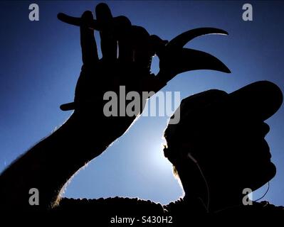 Gartenscheren, Katalonien, Spanien. Stockfoto